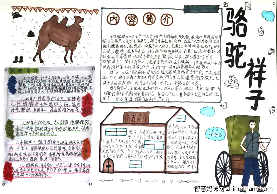 8张骆驼祥子手抄报绘画（高中组）-图5