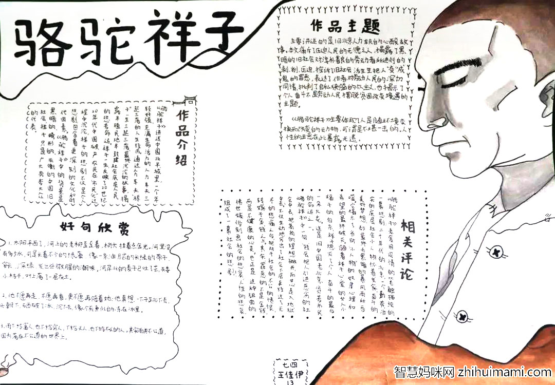 校园读书节：骆驼祥子手抄报优秀作品-图2