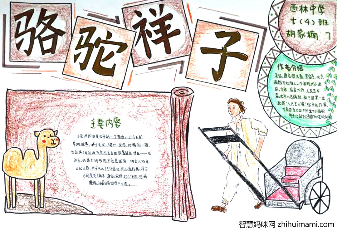 8张骆驼祥子手抄报绘画（高中组）-图3