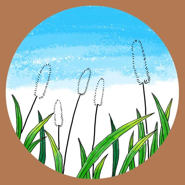 步骤3：用马克笔给草丛上色，并用勾线笔画出狗尾草的线稿，注意高低错落、大小变化。