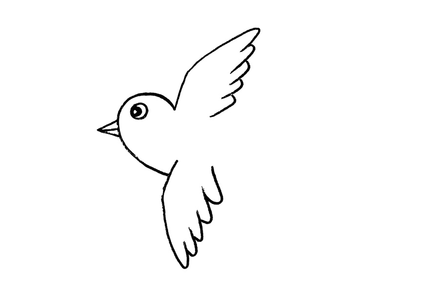 步骤4：在另一侧同样画出翅膀。