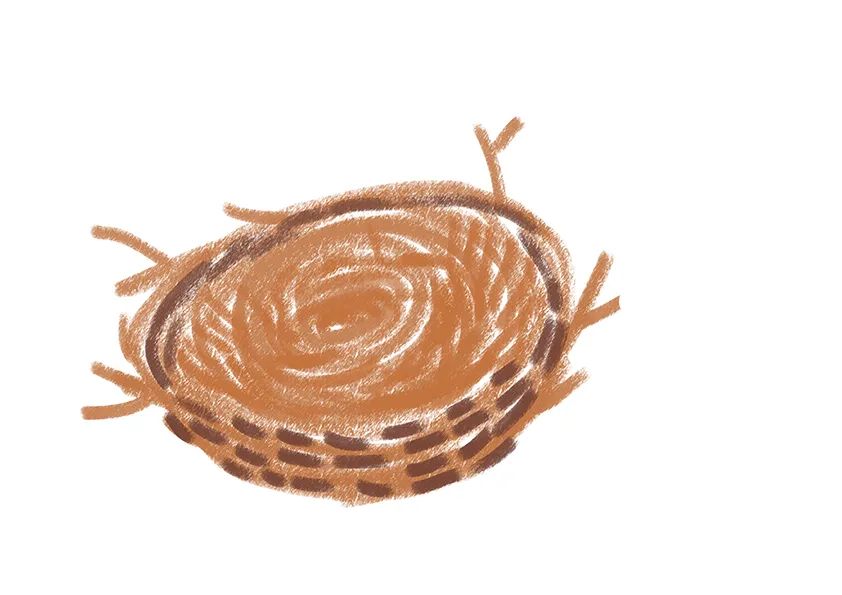 步骤2：接着我们用深褐色油画棒丰富一下鸟窝的结构和层次。