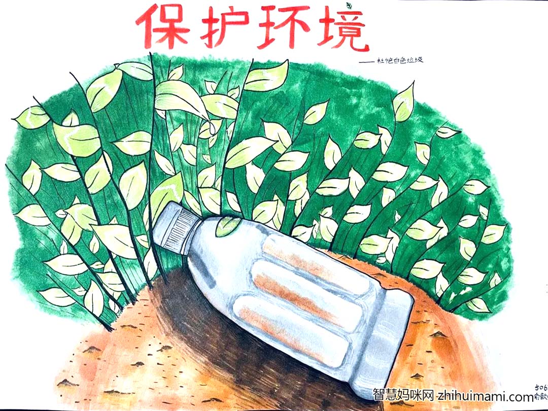 非常漂亮的节约用水绘画作品展示-图4