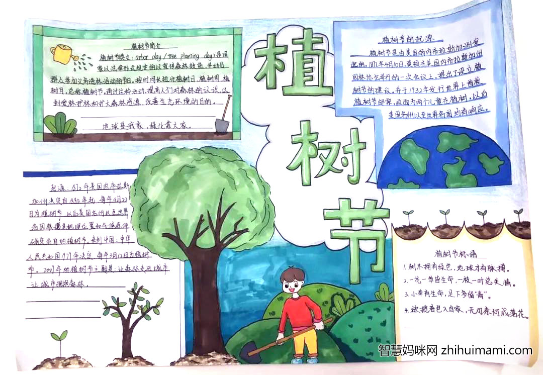 “你我同添绿，一起向未来”主题手抄报（13张）-图5