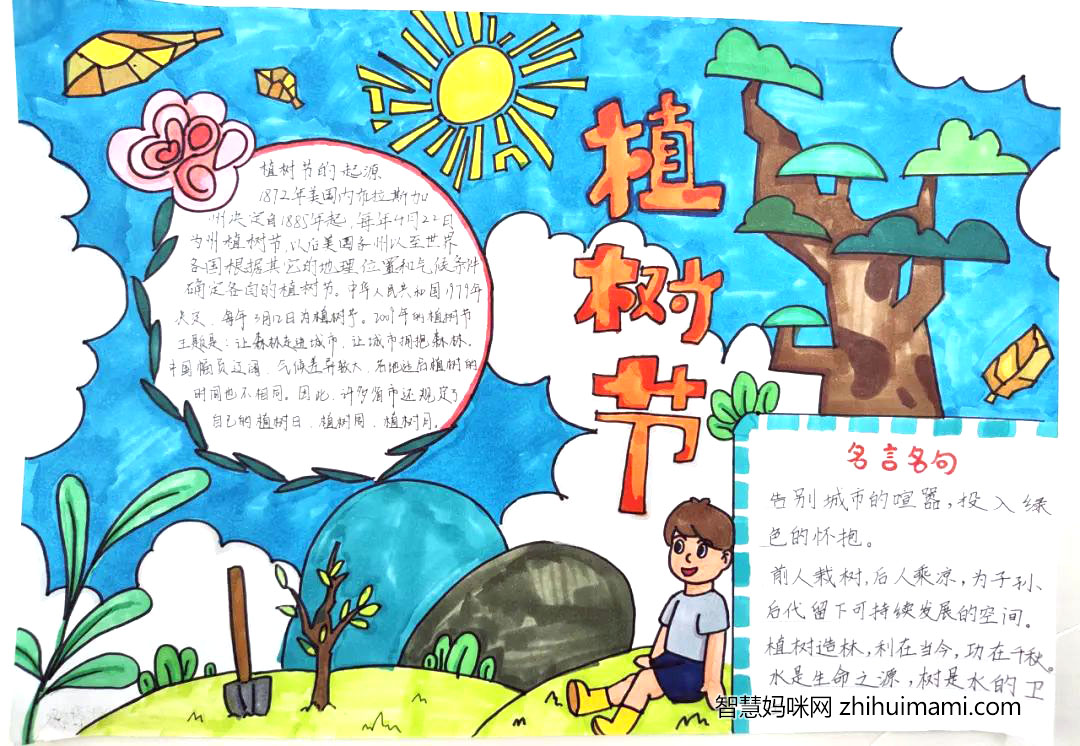 “你我同添绿，一起向未来”主题手抄报（13张）-图11