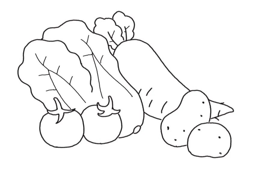 美味又健康的蔬菜简笔画-图4