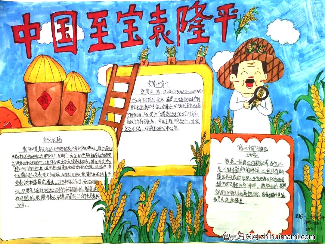 杂交水稻之父手抄报漂亮-图1