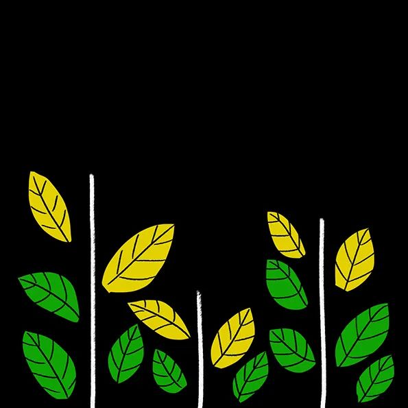 步骤2：接着我们把彩色卡纸剪成黄和绿的叶子。并用勾线笔画出叶脉，然后将叶子粘贴到白线两侧。