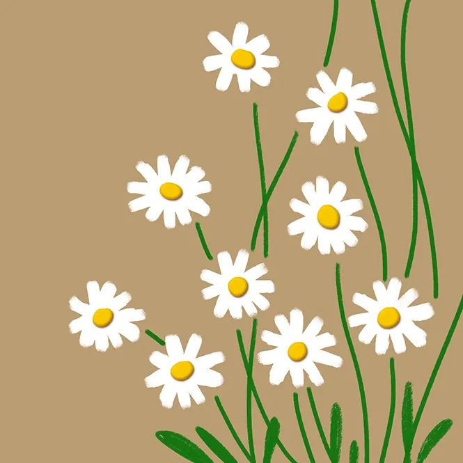 步骤3：这个步骤我们用黄色轻粘土制作雏菊的花心。整个作品基本完成。