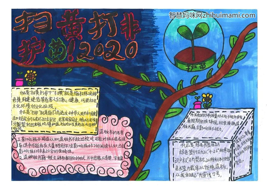 “扫黄打非·护苗2022”主题手抄报一等奖(9张)-图5