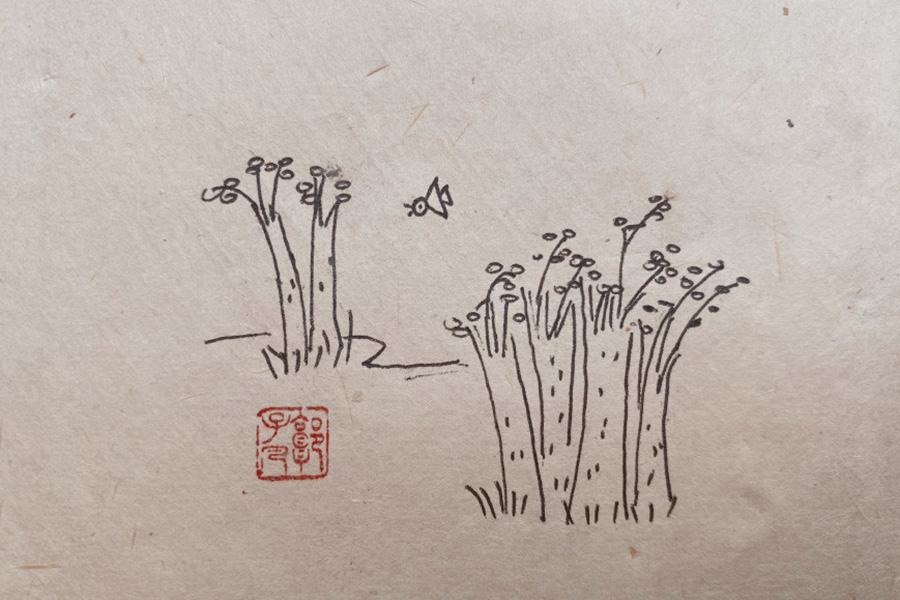 春分主题简笔画-图2