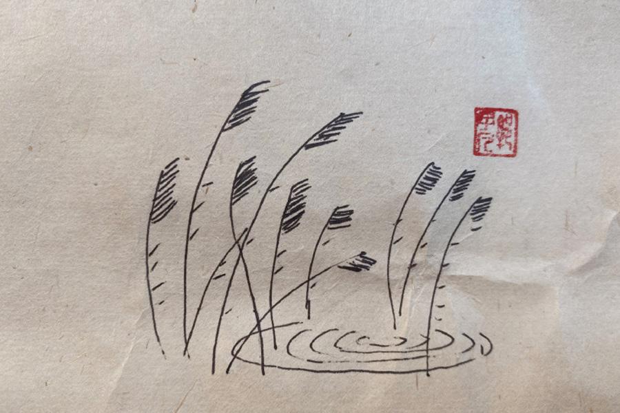 池塘风景简笔画图片-图2