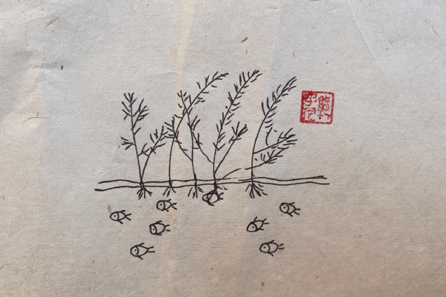 池塘风景简笔画图片-图4