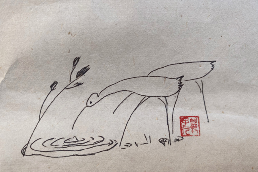 池塘风景简笔画图片-图6