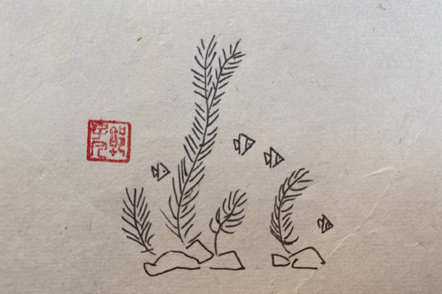 池塘风景简笔画图片-图8