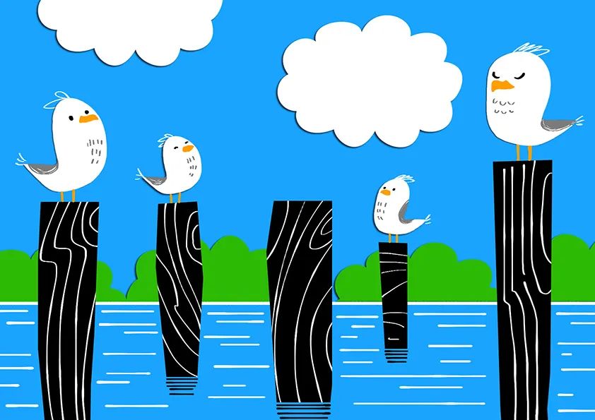 海边休息的海鸥儿童画