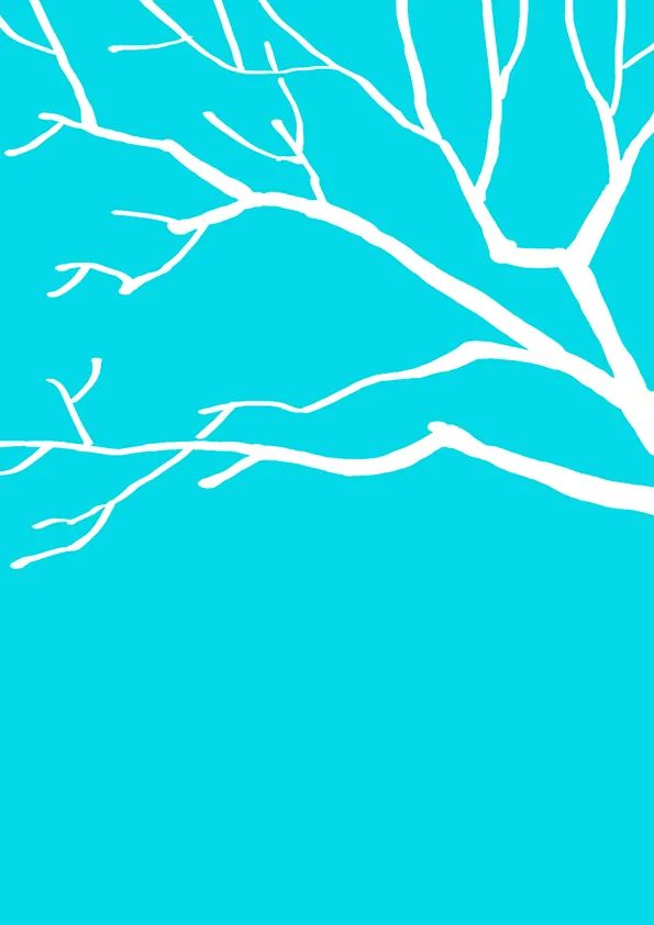 步骤1：首先我们用白色修正液在画面上方画出树枝。