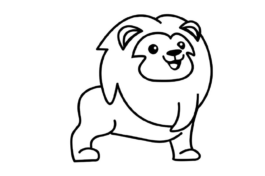 小狮子的简笔画教程-图6