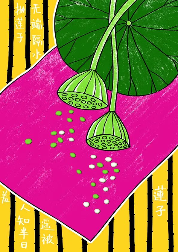 植物儿童画优秀作品—莲蓬