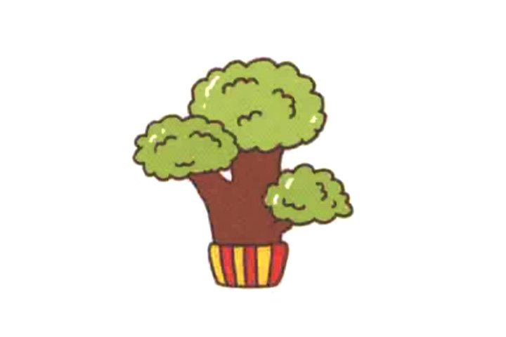 清新绿植简笔画 白松怎么画