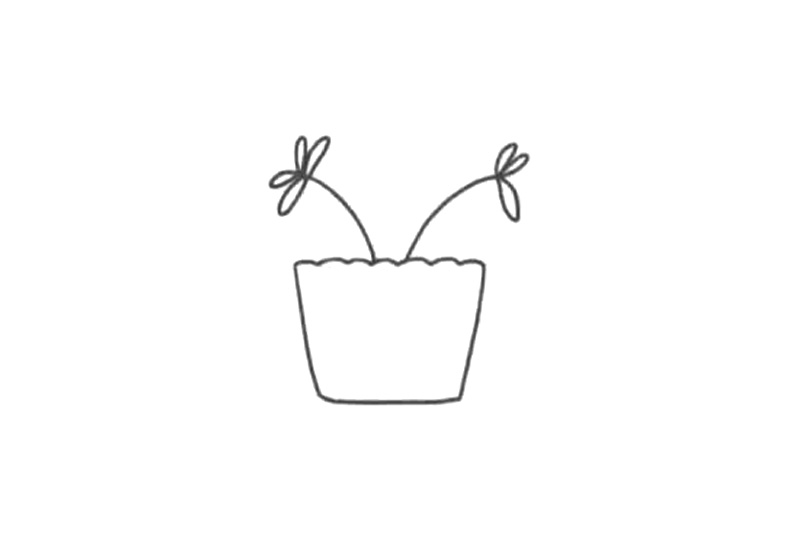 清新绿植简笔画 含羞草怎么画-图2