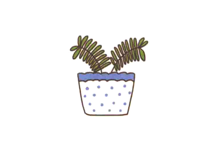 清新绿植简笔画 含羞草怎么画