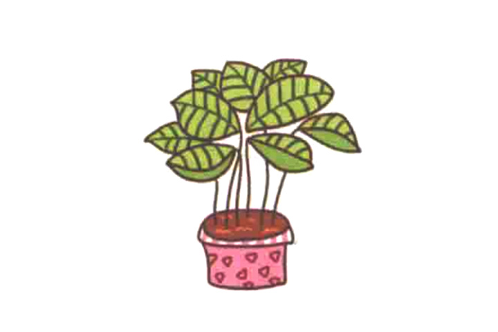 绿萝吊兰怎么画