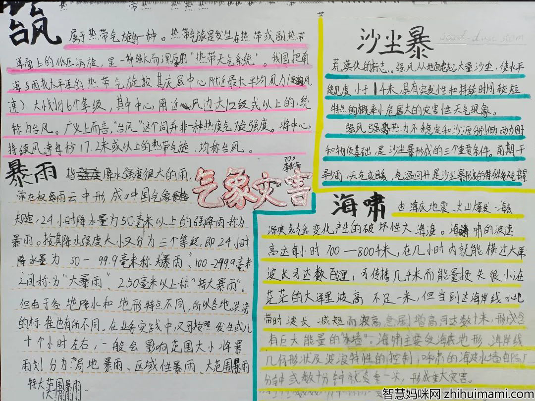 保护环境人人有责手抄报优秀作品-图4