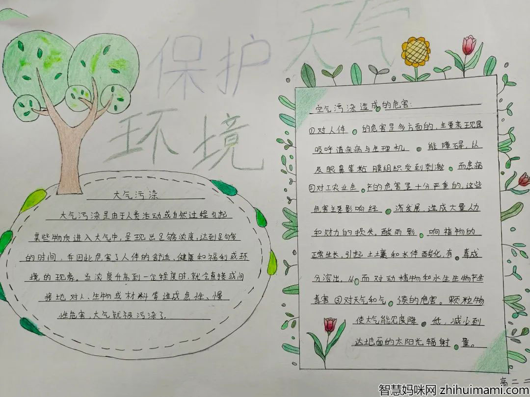 还我蓝天保护大气环境手抄报内容-图6
