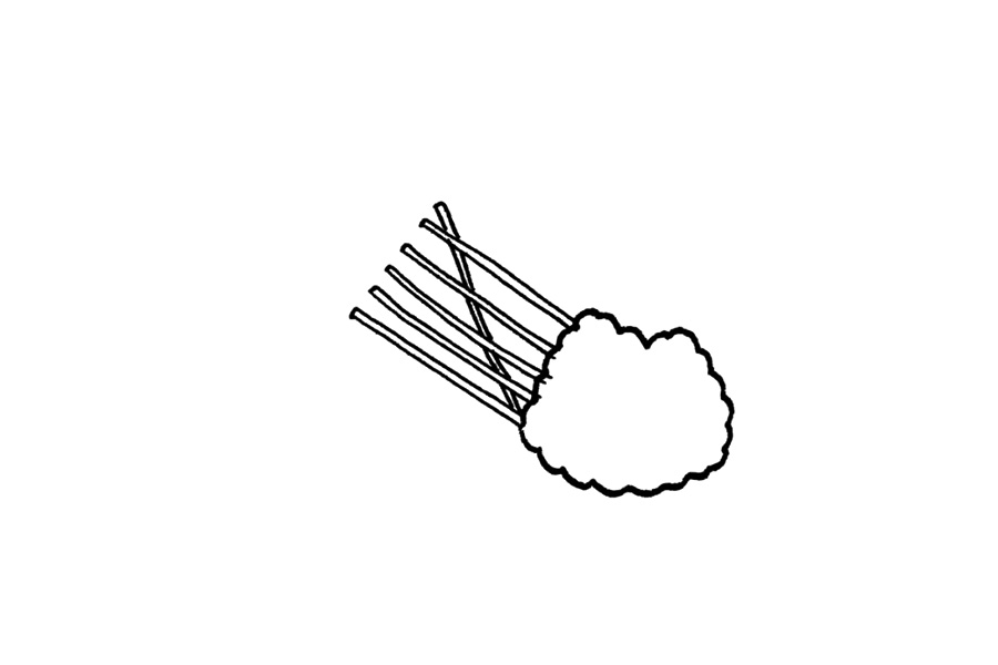 步骤1：先画出一束枝条和一簇花朵。