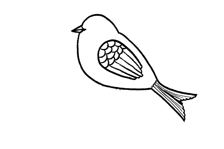 步骤4：给小鸟画出翅膀。