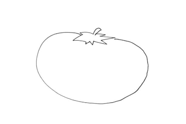 步骤2：画出西红柿的轮廓，一个不规则的扁圆形
