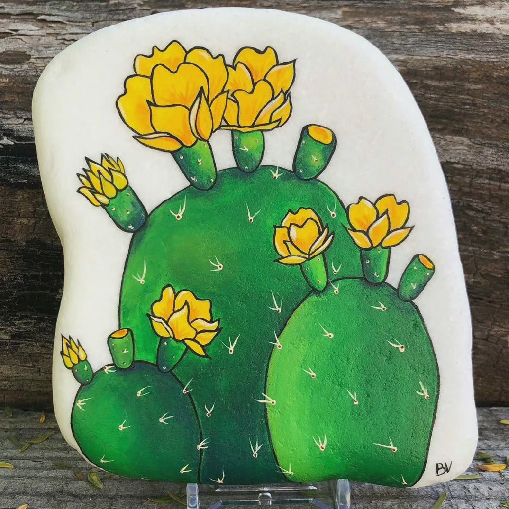 一组超漂亮的仙人掌石头画-图7