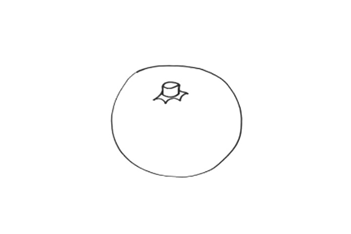 步骤2：为橘子加上梗