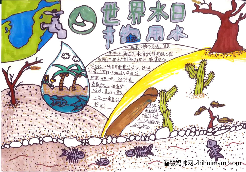 三年级珍惜水资源手抄报简单字少（8张）-图2