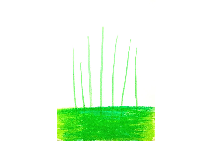 春天里一片油菜花怎么画-图2