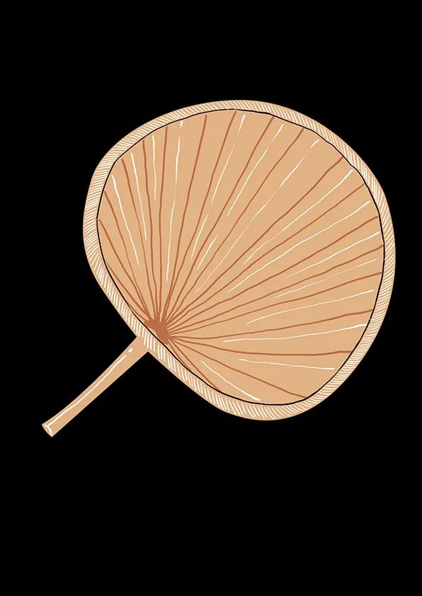 步骤3：用马克笔和高光笔绘制放射状线条，装饰扇子内部，体现蒲扇的基本特征。