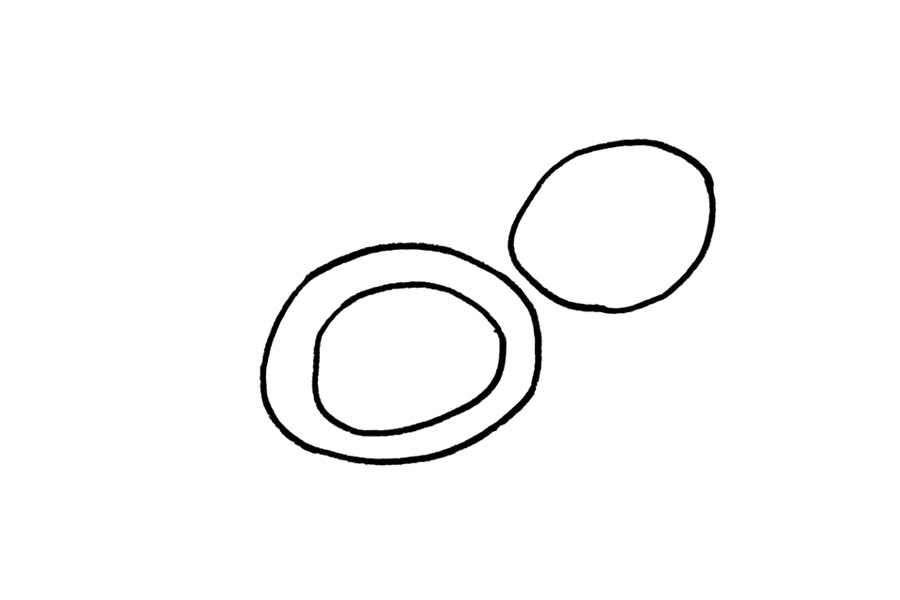 步骤3：在旁边画出一个小一些的圆形。