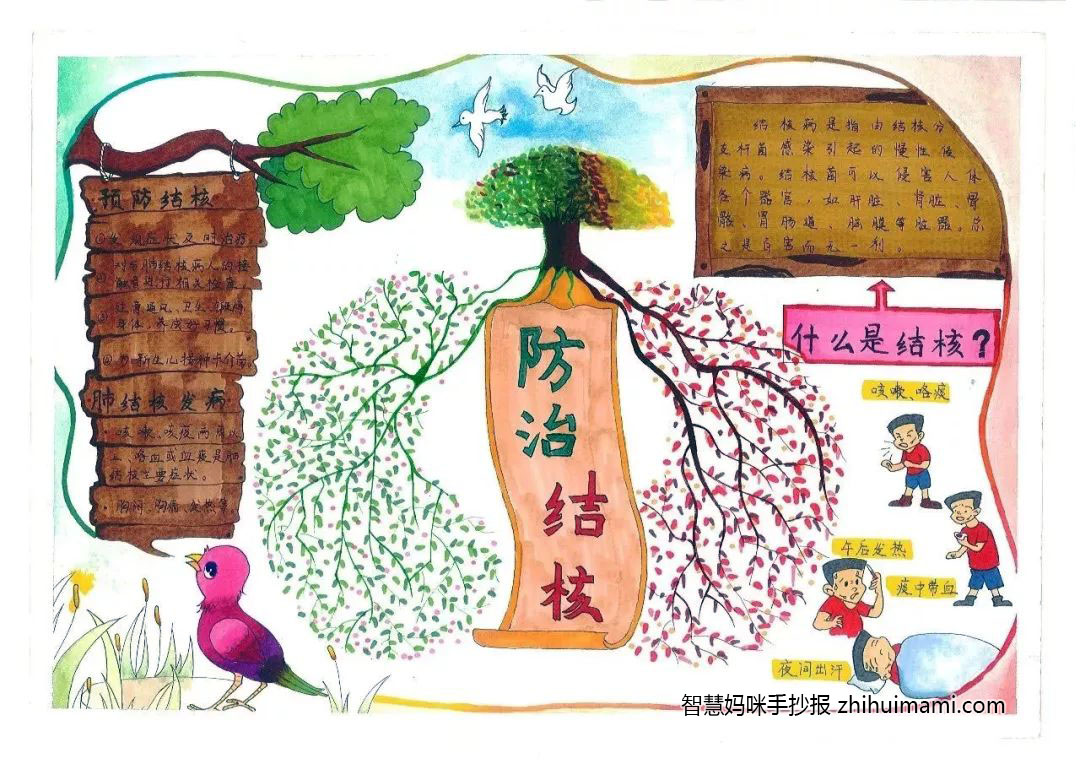 预防肺结核手抄报简单字少（9张）-图7