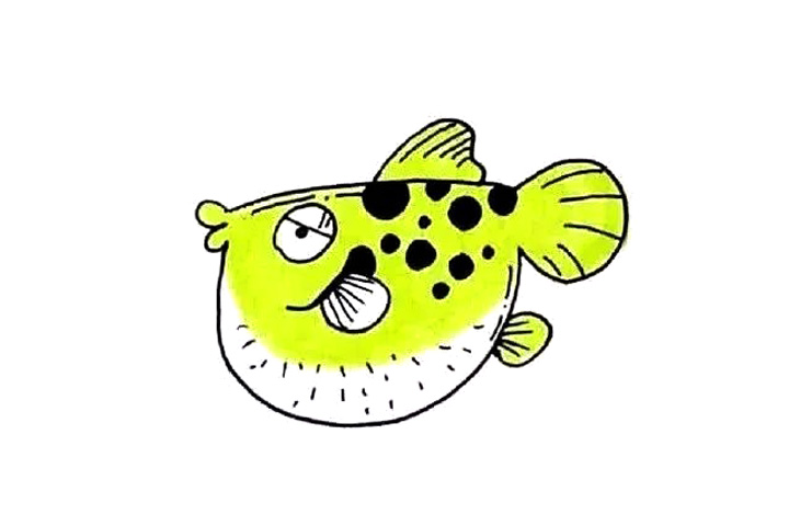 12种海里生活的鱼创意简笔画图片-图3