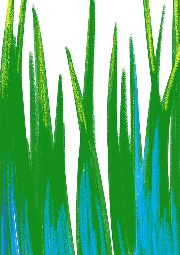 步骤1：首先我们用油画棒在素描纸上画出绿色的草丛。