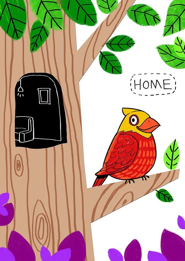 鸟之屋儿童画一等奖