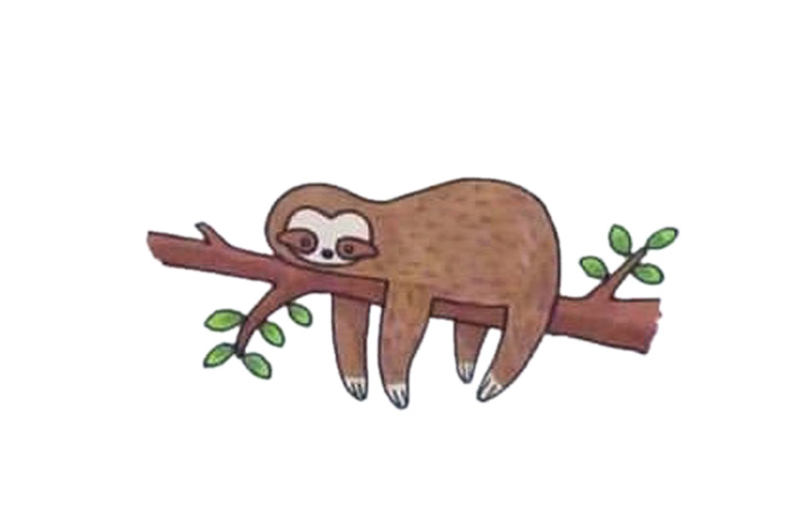 可爱动物简笔画之躺在树枝上的树懒