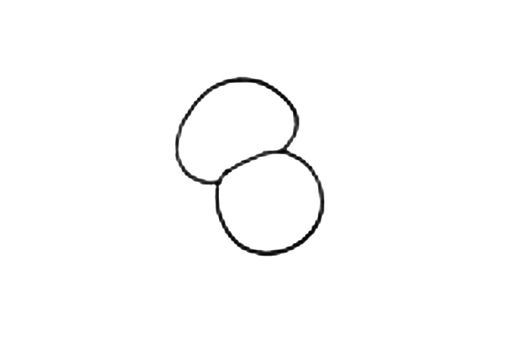 可爱动物简笔画小猫咪爱玩毛线球-图1