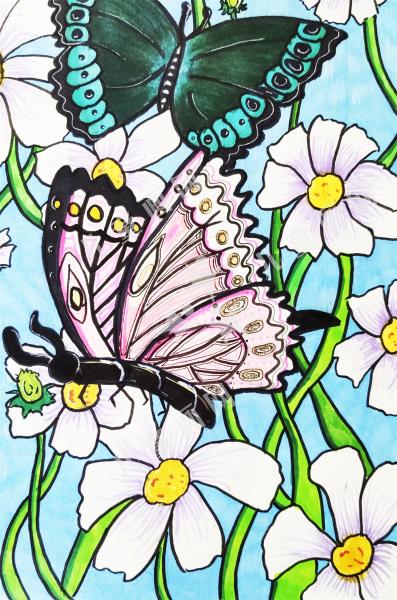 花丛中的明星蝴蝶绘画