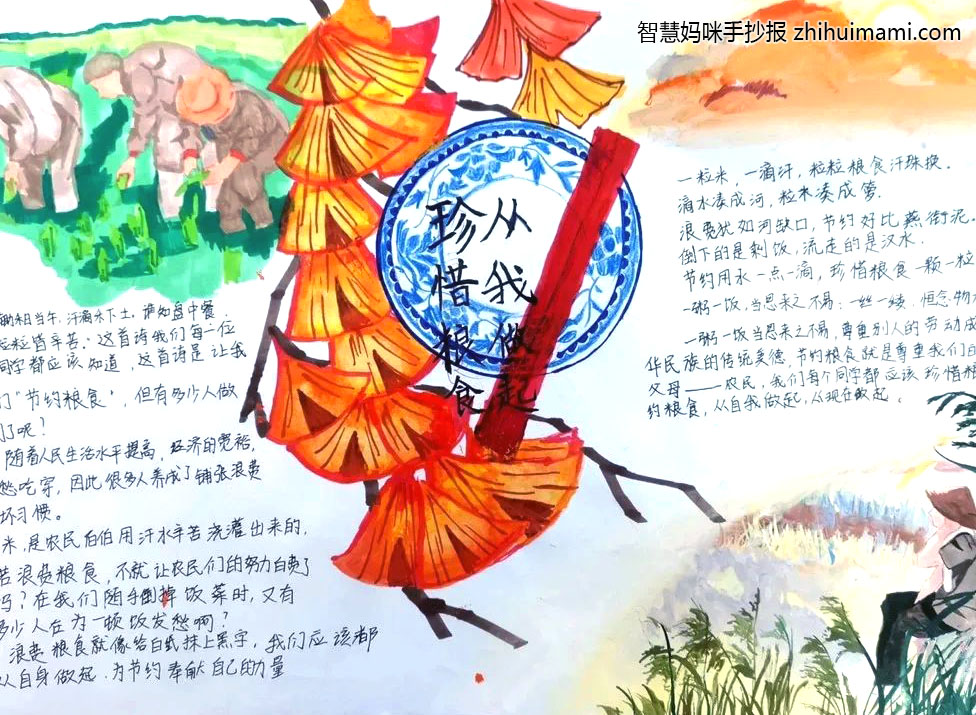 我是节约小能手——光盘行动手抄报（9张）-图7