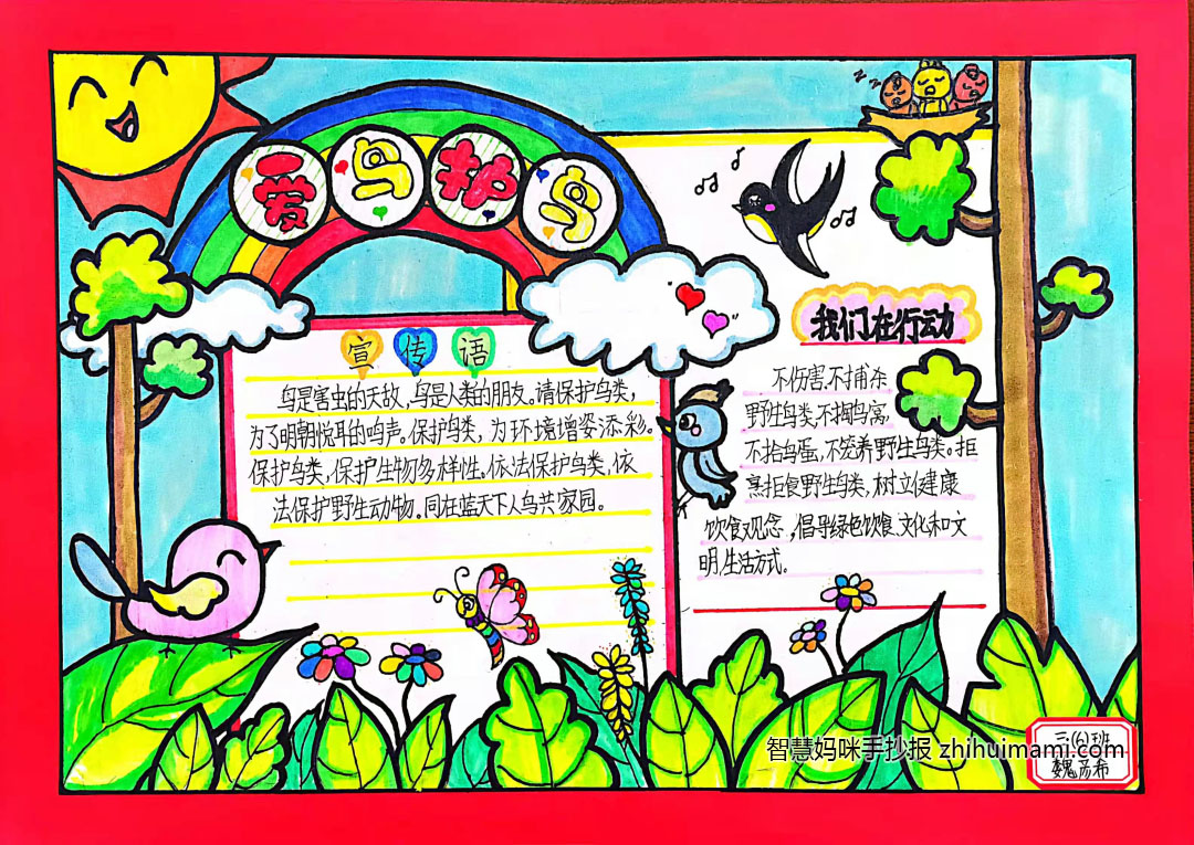 爱鸟护鸟主题手抄报一等奖（9张）-图6