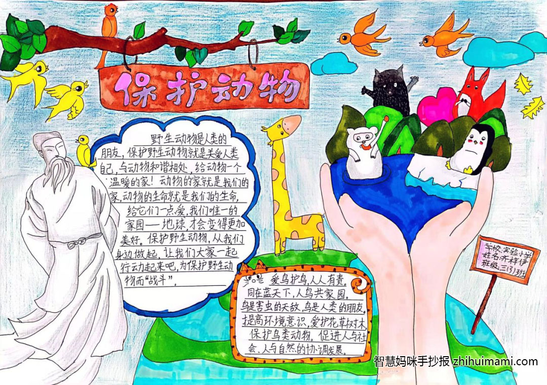 爱鸟护鸟主题手抄报一等奖（9张）-图7