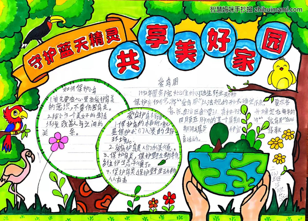 守护蓝天精灵-爱鸟节主题手抄报（7张）-图2