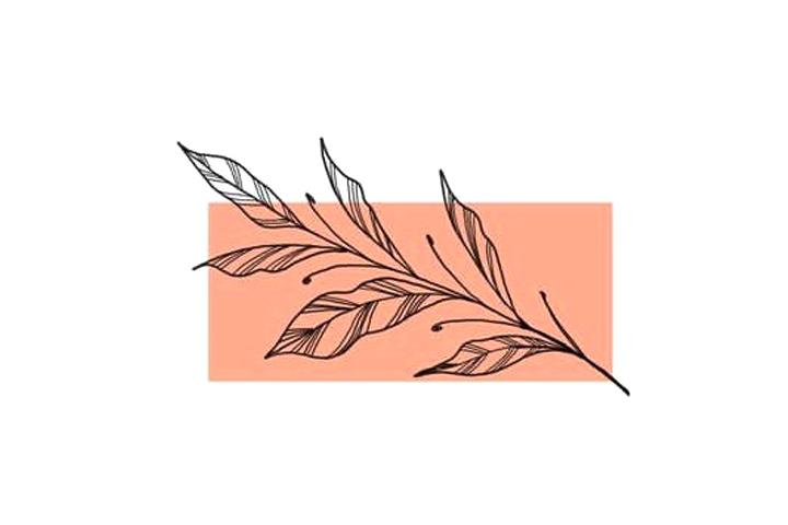 植物花草简笔画12种漂亮的小草简笔画图片-图11